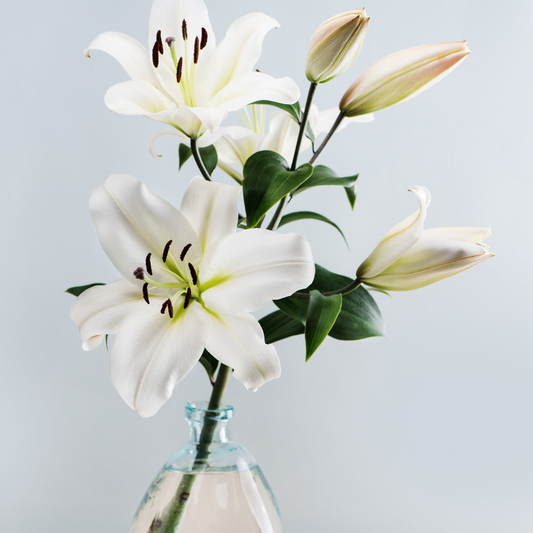 Managing GRIEF & LOSS with Crystals & other complimentary therapies